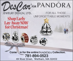 WL_300x250_DesCar_Nov2010_Rect